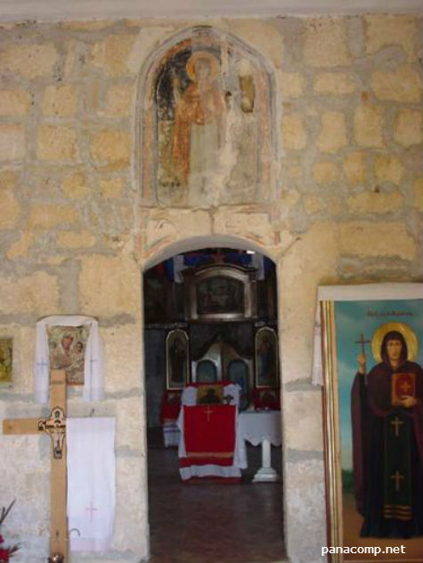 petkovica ikone freske